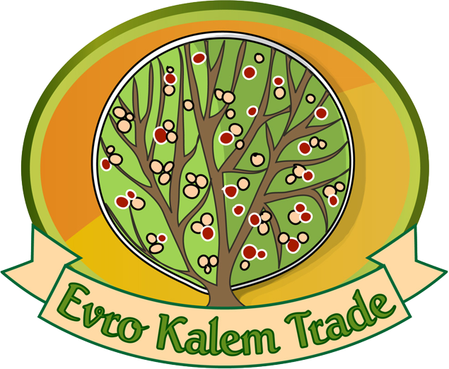 Evro Kalem Trade
